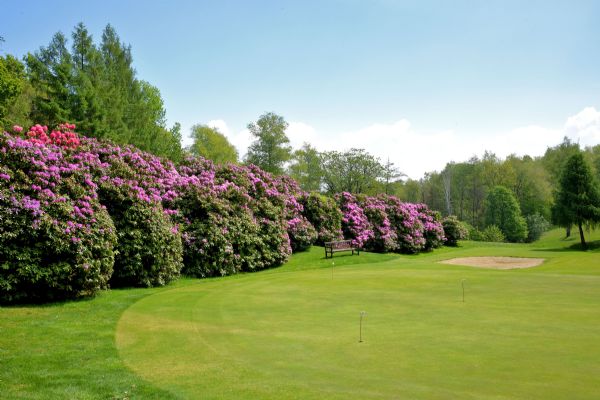 Putting green